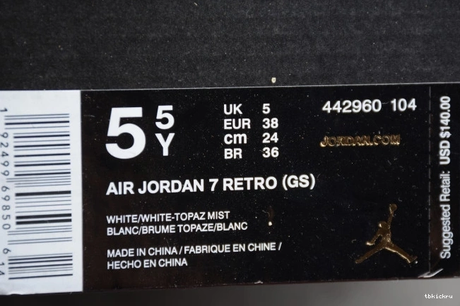 Reps TBkick 7 Mist 442960-104 (GS) Topaz Jordan Air Retro 0703
